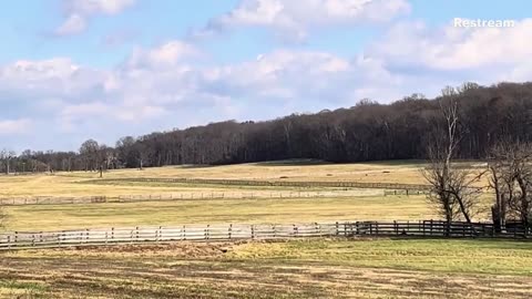 A Parliament of Crows