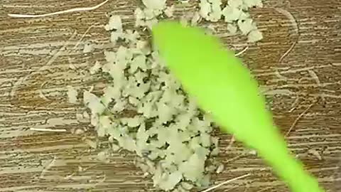Dynamite loaded fried recipe