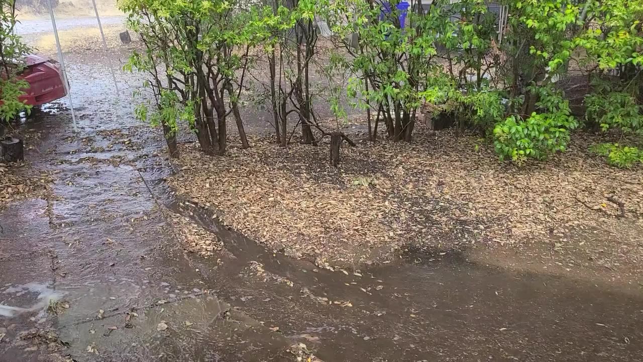 Summer thunderstorm