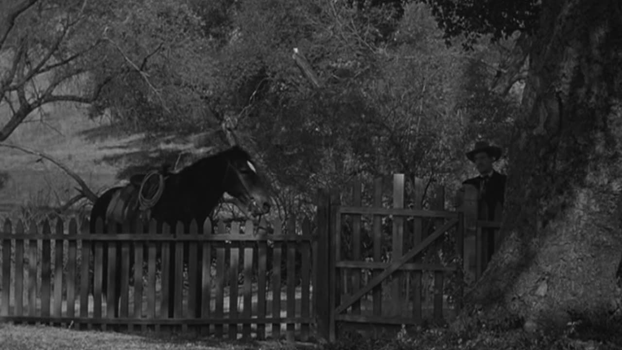 Gunplay (Western 1951) Tim Holt