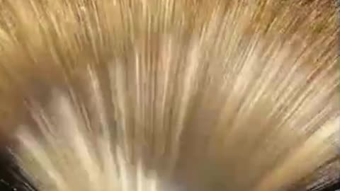 Feshfesheh