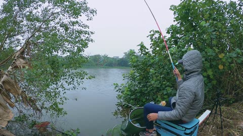 Zander Jerkbait Fishing in Deep River Pools