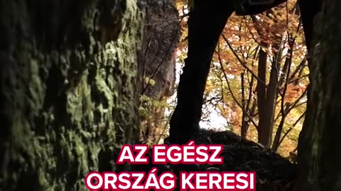 Egyre nagyobb veszélyben lehet az egy hete eltűnt Bódog Dániel | borsonline.hu