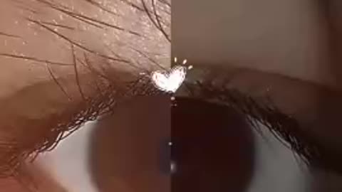 nice