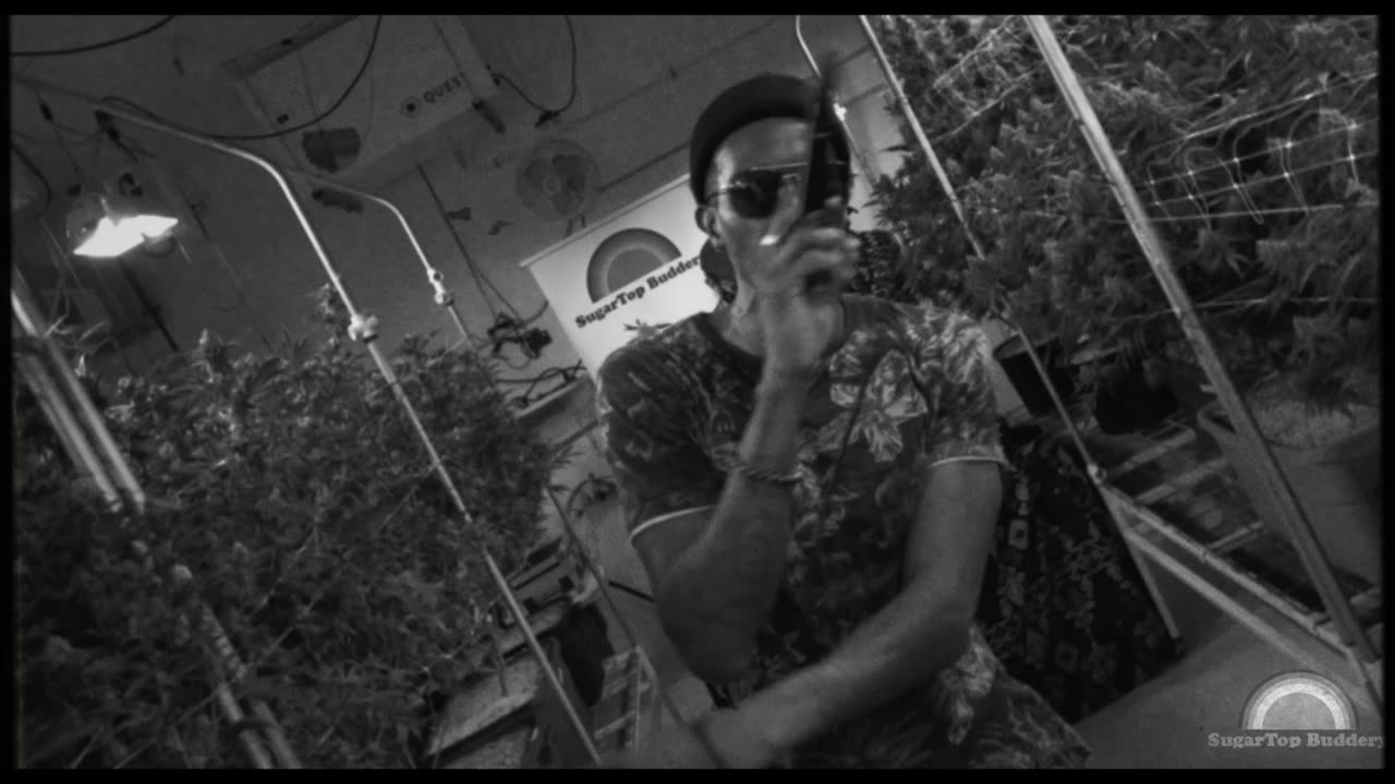 Serenaded Buds : Mash Down Georgetown - Blakkamoore & The Bambu King