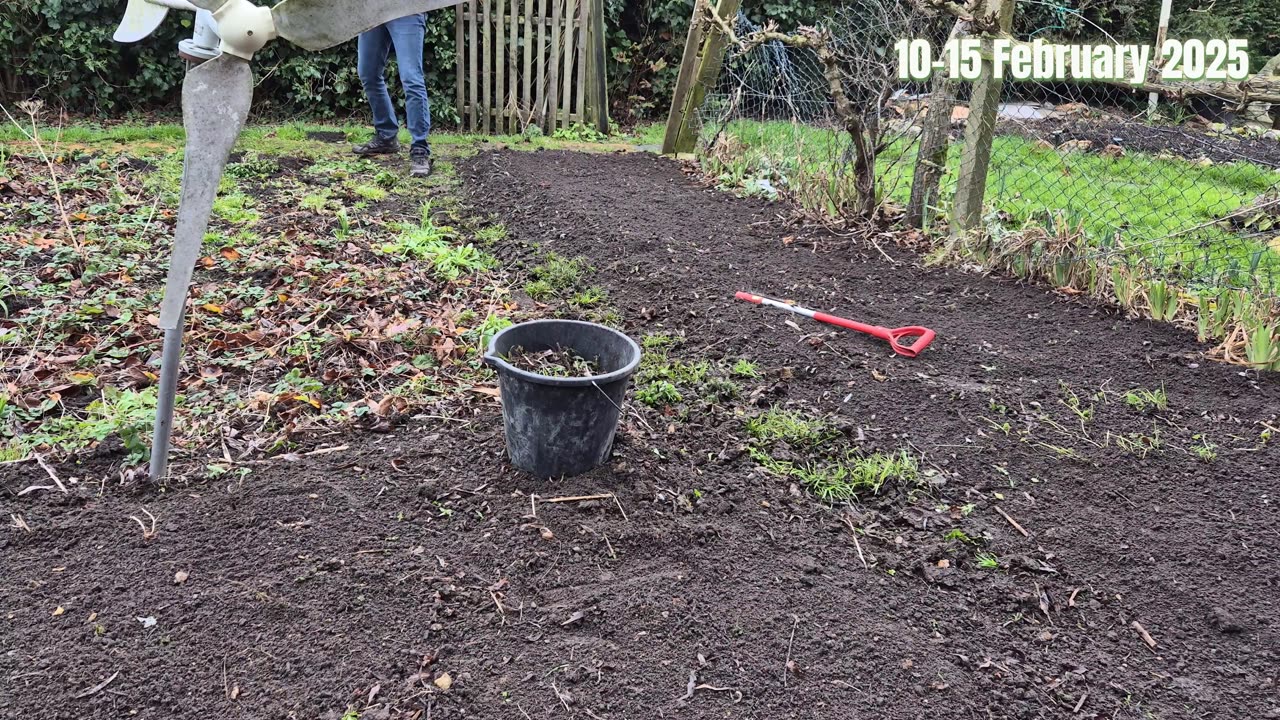 A Week of Gardening Timelapse. Spring Garden Transformation: One Week in 6 Minutes