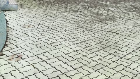 Amusement Park at the DMZ | South Korea’s Strangest Tourist Stop