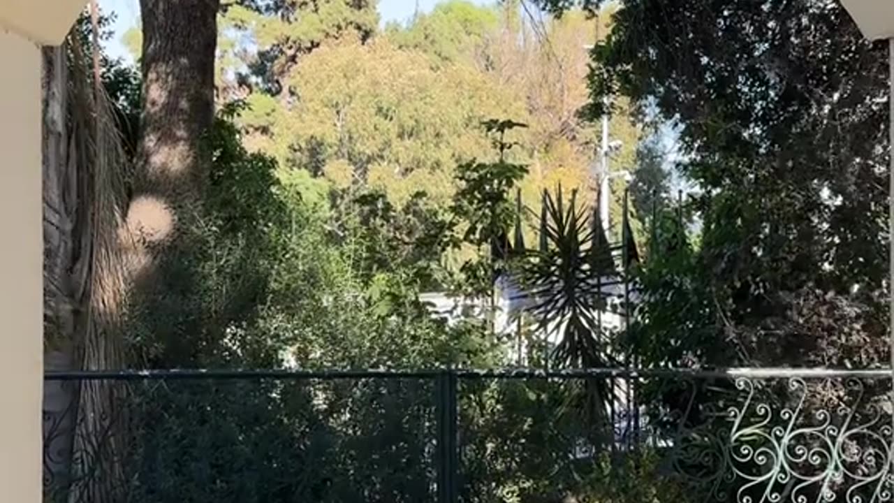 الجزائر ALGERIA