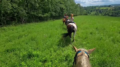 Relax and feed your soul today!