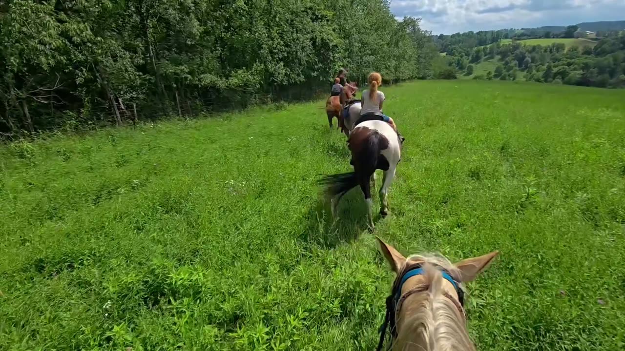 Relax and feed your soul today!