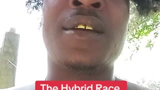 THE HYBRID RACE DRACONIANS.