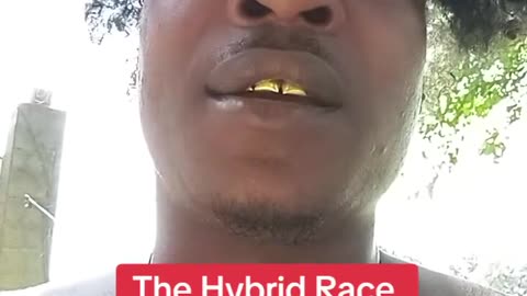 THE HYBRID RACE DRACONIANS.