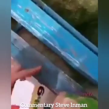 Another example of why dogs are smarter than most humans