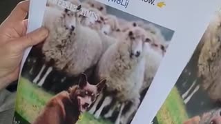 Farmer Wade live discussing The Weekly Times, Farmers need to wake up - 16/7/2025