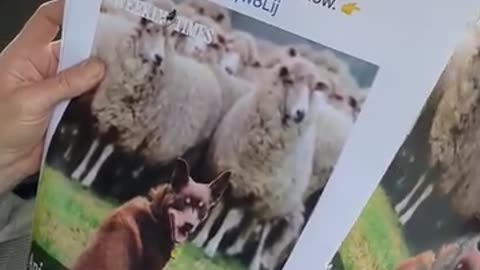 Farmer Wade live discussing The Weekly Times, Farmers need to wake up - 16/7/2025