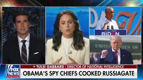 This Russia HOAX thing… I wanted to get to the bottom of it — Tulsi