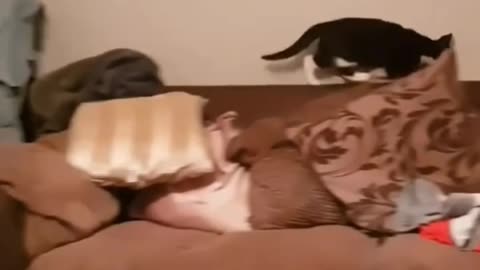 گربه‌ای که فهمید فیلم‌برداریه! The Cat Who Knew It Was Being Filmed!