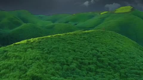Beautiful world of story