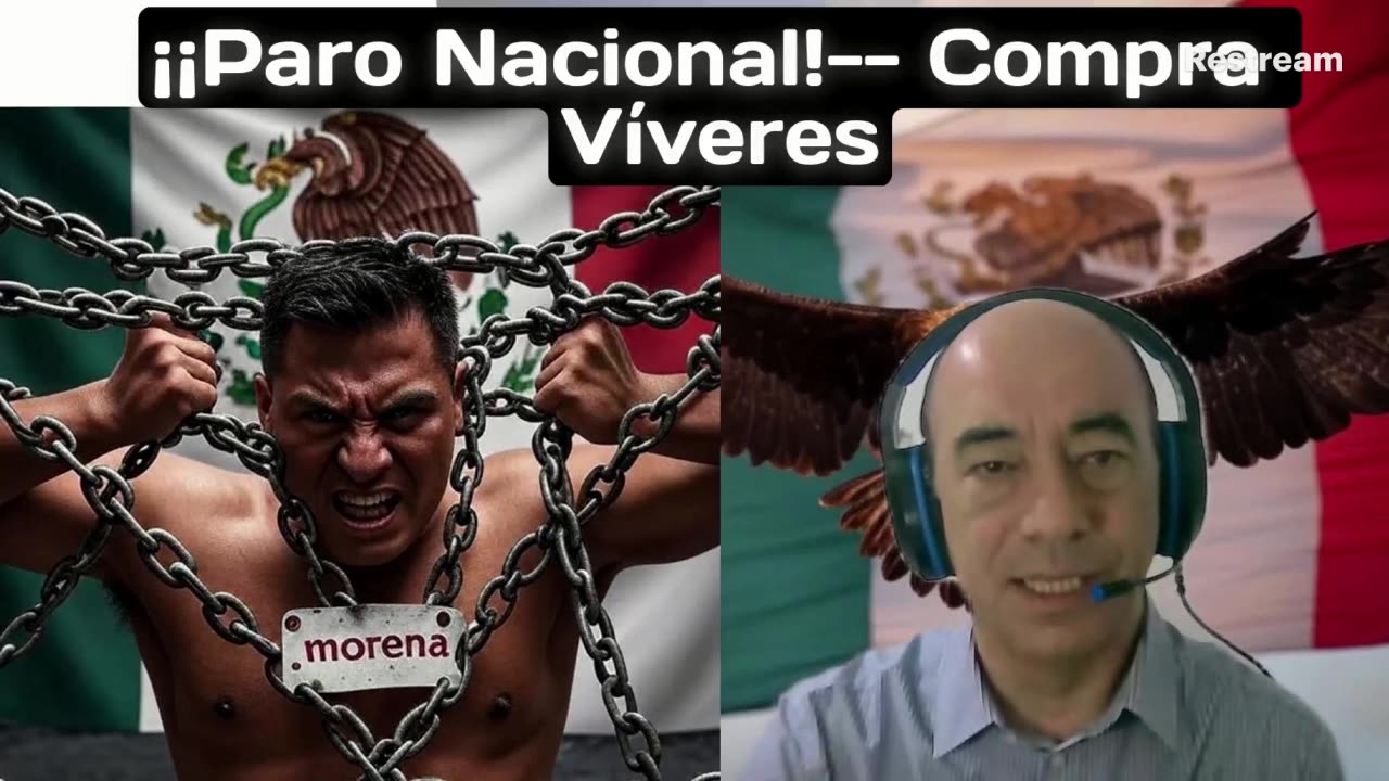 Golden Wolf Diamond Universal 2.4