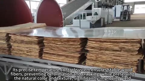 The high-frequency vacuum wood dryer