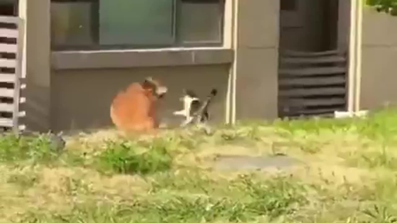 News Break