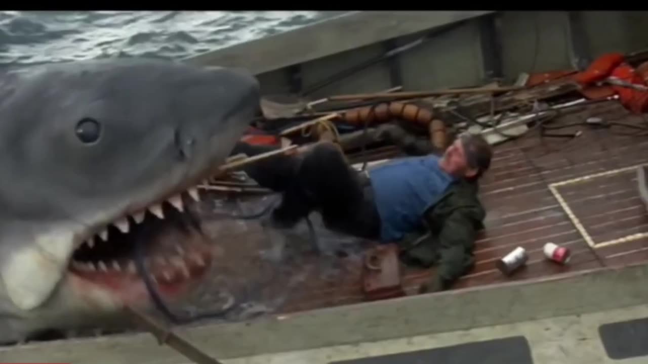 Jaws Strikes Again