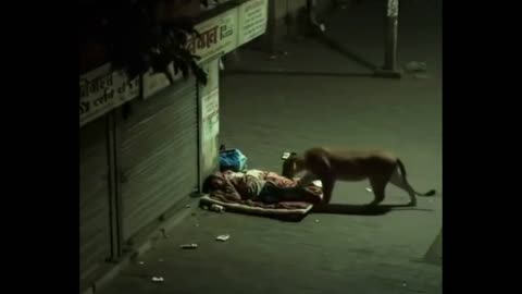 Lucky Man