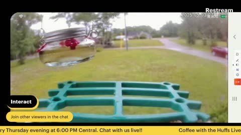 Bird Feeder Live 5-3