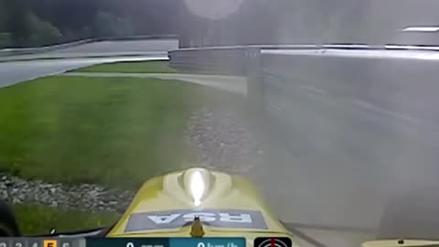 Automobile racing, deer accident, open wheel