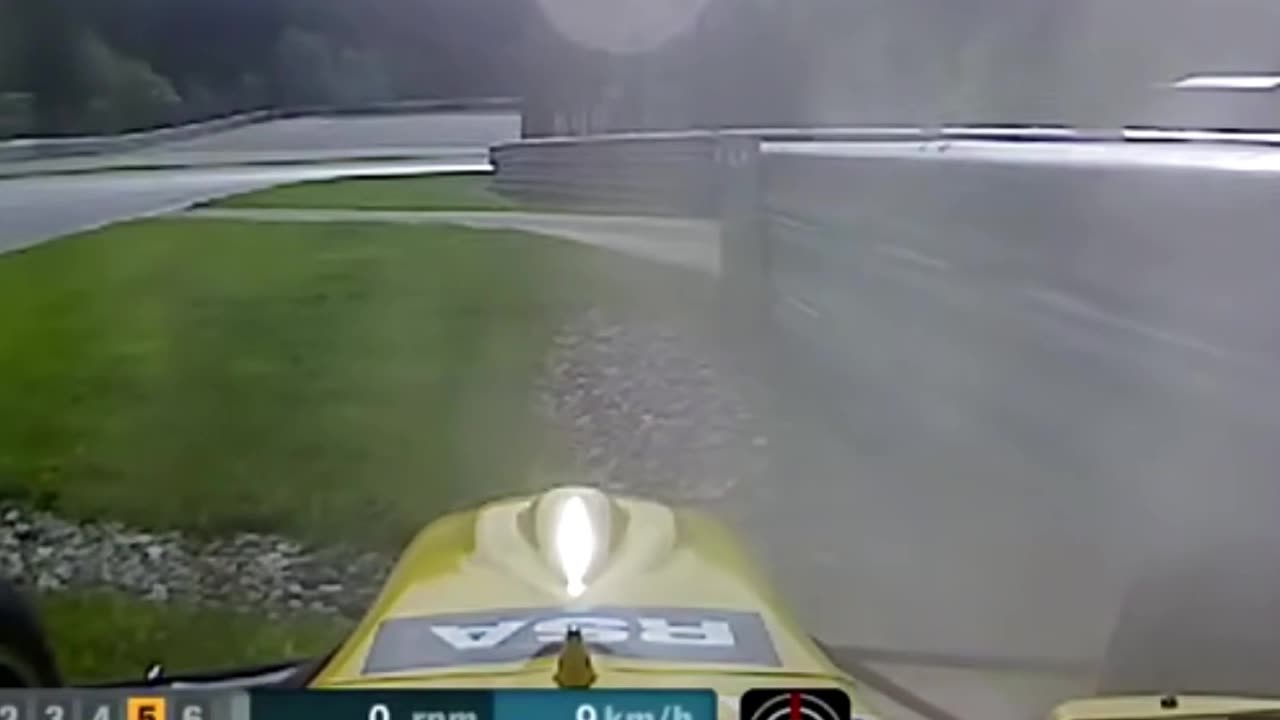 Automobile racing, deer accident, open wheel