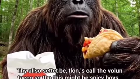 gorilla taco gone wrong