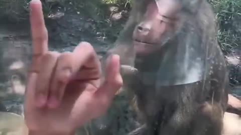 🐵🐵🤣🤣🤣🤣