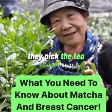 MATCHA TEA AND POLYPHENOLS