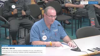 Mark in Hawaii: Article V is a Profound Constitutional Function