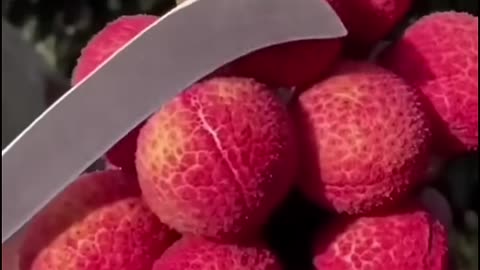 The Best Fruits Ever Seen ! Very Tasty!#fruit #shorts #nature