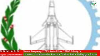 Oduu Waaree ONM-ABO Sadaasa 14-2025 itti dhiyaadhaa!