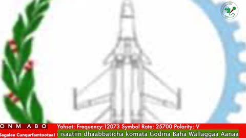 Oduu Waaree ONM-ABO Sadaasa 14-2025 itti dhiyaadhaa!