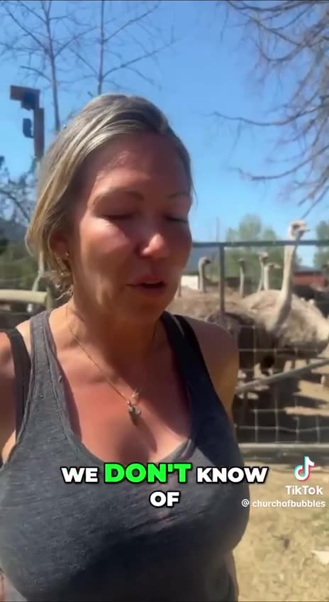 Please help to safe our animals! Come over to support us