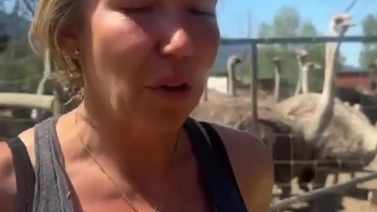 Please help to safe our animals! Come over to support us