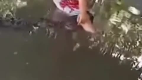 A MAN WANTED TO TAKE A PHOTO IN A ZOO BUT GOT INTO THE JAWS OF A CROCODILE