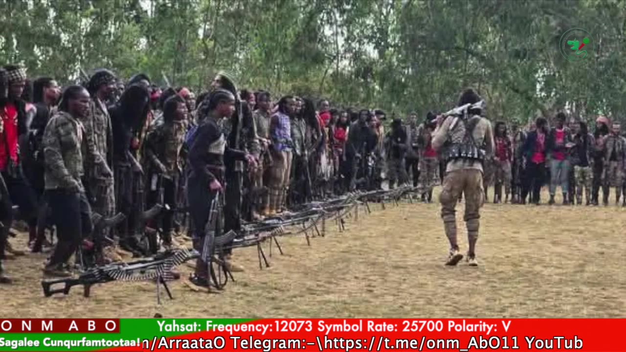 Gabaasa Tarkaanfii ONM-ABO Adoolessa 4-2025 itti dhiyaadhaa!