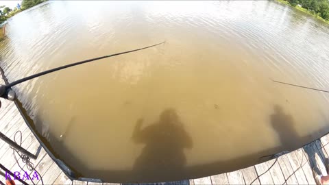 Special guests, Fishing with the Rickners Niagara Falls NY