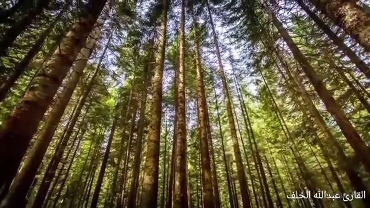 - سورة الكهف - بصوت القارئ عبدالله الخلف 1437