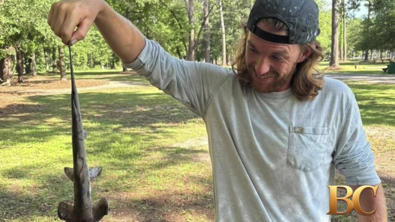 Hammerhead shark falls from sky in South Carolina, interrupting disc golf game