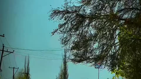 viral
