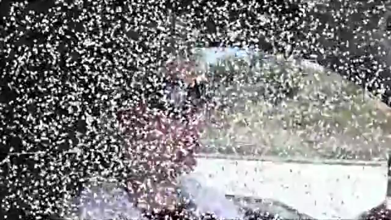 EXTRA 2025 0814 DEBORAH TAVARES - DEPLOYED Silent Weapon System.mp4