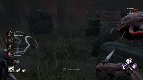 When I Found The Tanuki on Yamakoa