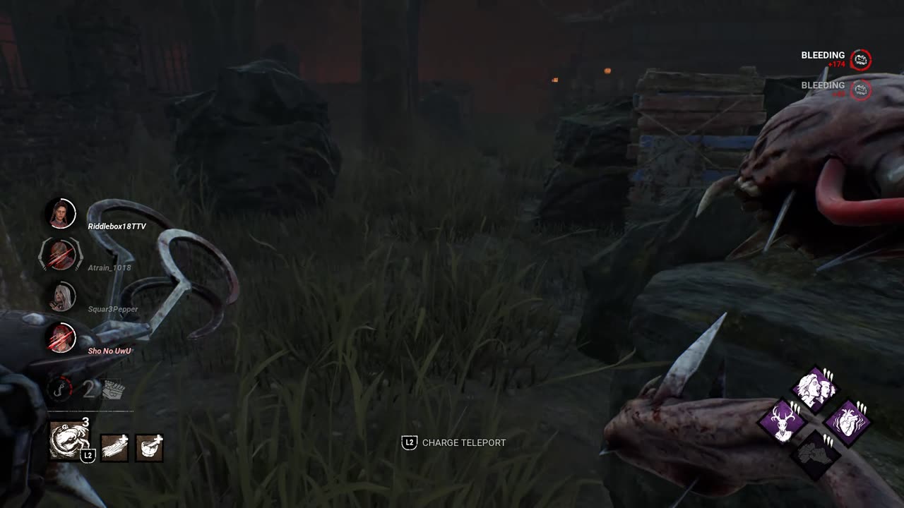 When I Found The Tanuki on Yamakoa