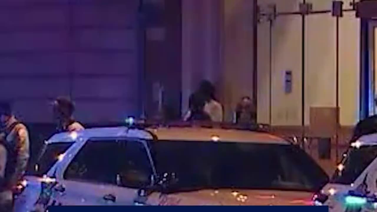 Chicago City Council fails to override mayor's veto...