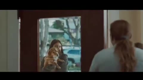 New Redfin Ad depicts all white people as racist and hateful toward our brown “neighbors”